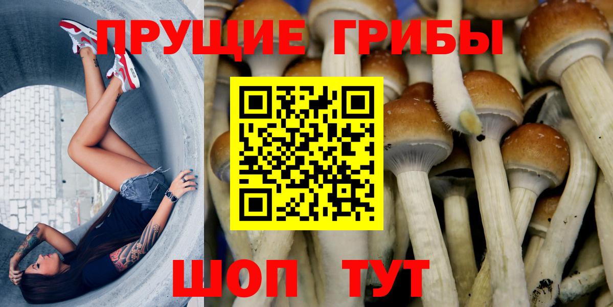 Галлюциногенные грибы Magic Shrooms Лосино-Петровский